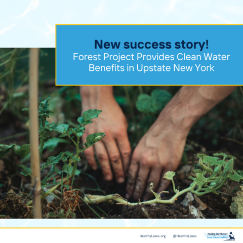 Two hands digging in dirt with green plants. Overlay text reads: new success story! Forest project provides clean water benefits in upstate New York