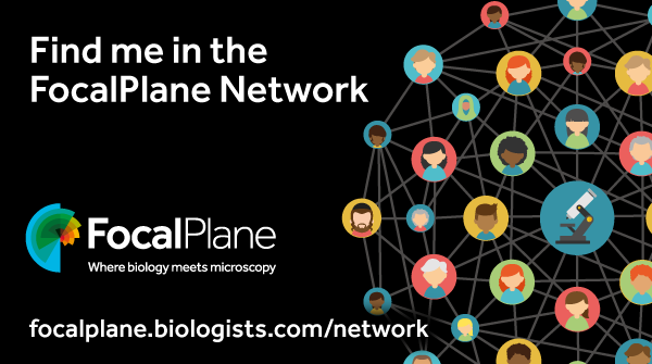 Find me in the FocalPlane Network