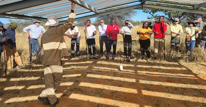 Gruppe von Menschen besichtigt eine Farmanlage. 
Teilnehmende des ersten Stakeholder-Workshops besuchen das großflächige Feldexperiment des NamTip-Projekts in der Waterberg-Region. Dr. Mark Bilton von der Namibia University of Science and Technology erläutert die experimentellen Aufbauten, darunter Regenausschlussdächer zur gezielten Simulation von Dürrebedingungen. Das Experiment dient dazu, die Auswirkungen extremer Klimabedingungen und unterschiedlicher Weideregime auf die Stabilität von Savannenökosystemen besser zu verstehen.Das Foto hat Anja Linstädter aufgenommen