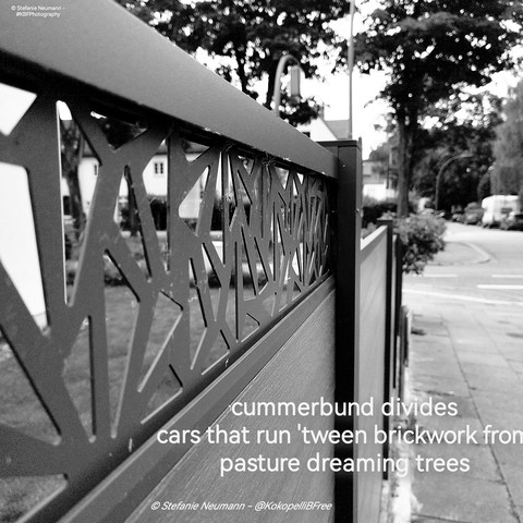Ein schwarz-weiß Bild entlang eines dunklen Gartenzauns auf eine Straßenkreuzung zu. Dazu ein Haiku. Text folgt nach englischer Beschreibung.

A black-and-white picture along a dark garden fence towards a street junction. Additionally a haiku. Text:

cummerbund divides
brickworks cars run over from
pasture dreaming trees
