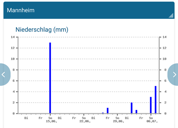Niederschlagstabelle rückblickend für Mannheim. Letzter starker Regen war am 15.6., in der vergangenen Woche Niederschläge bis 5mm pro Tag. Von wetteronline.de