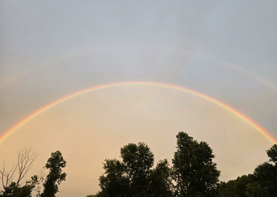 A rainbow over trees with a reflected rainbow above.