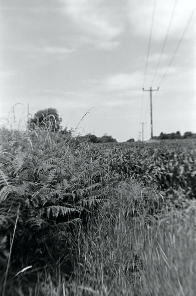 Trying out a 620 roll film camera and film for 620 day. I had fun.