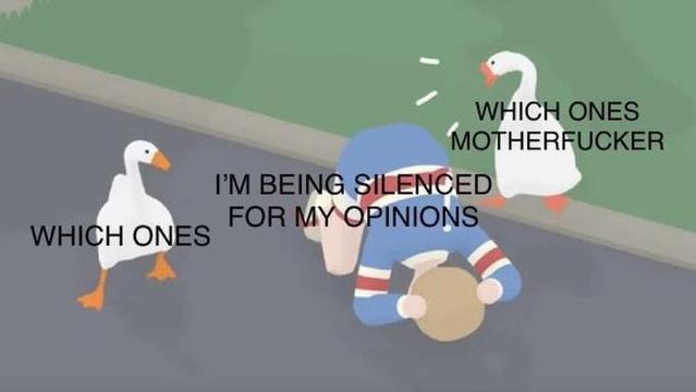 I'M BEING SILENCED FOR MY OPINIONS

WHICH ONES

WHICH ONES MOTHERFUCKER
