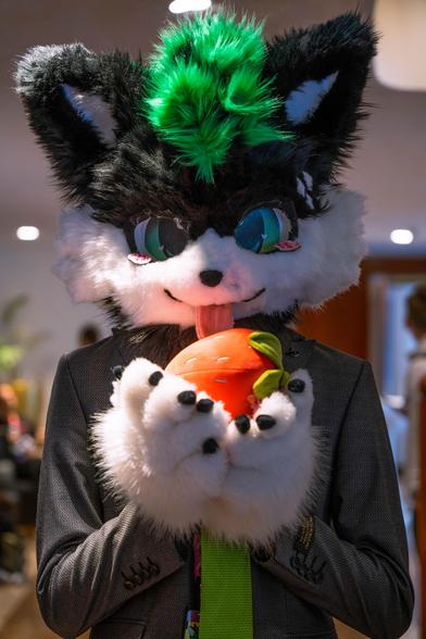Vanj fursuit wearing a business suit with a green tie, has a strawberry plushie in his paws and a tongue out to eat it, within a hotel hallway.