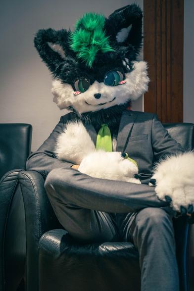 Vanj in a suit with a business suit on and a green tie sitting on a sofa chair with crossed leg, holding his tail.