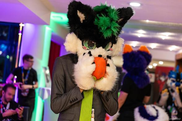 Vanj's fursuit with a business suit and a green tie eating a strawberry.