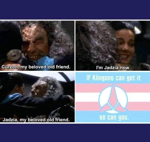 Szene aus DS9, "Blood Oath": Treffen zwischen Jadzia Dax und Kor:
1. Bild: "Curzon, my beloved old friend."
2. Bild: "I'm Jadzia now."
3. Bild: "Jadzia, my beloved old friend."
4. Bild: Transflagge mit Klingonischem Logo: "If Klingons can get it, so can you"