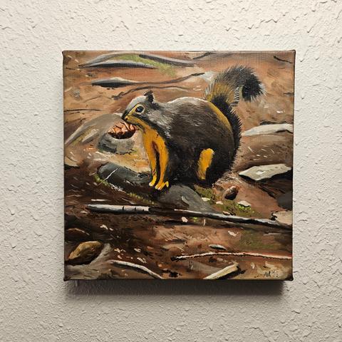 a 12x12 oil painting of a chonky squirrel holding a pine cone in their mouth on a hiking path at Deception Pass in Western Washington.