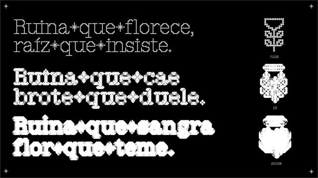 Three font variations of the the text: Ruina que florece, raiz que insiste