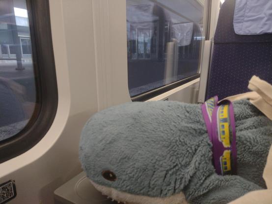 A Blåhaj is looking out of a train window. They wear a train cord.
The train has blue seats with a pillow for the head.
We are sitting in the under part of the train.