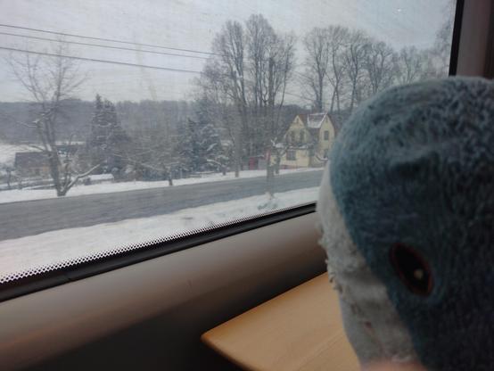Blåhaj is looking out of a train window somewhere in Czechia. They see a snowy landscape and a street with houses.