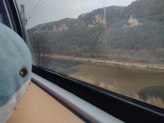 Blåhaj is looking out of a train window. The landscape is very hilly with a lot of rocks.