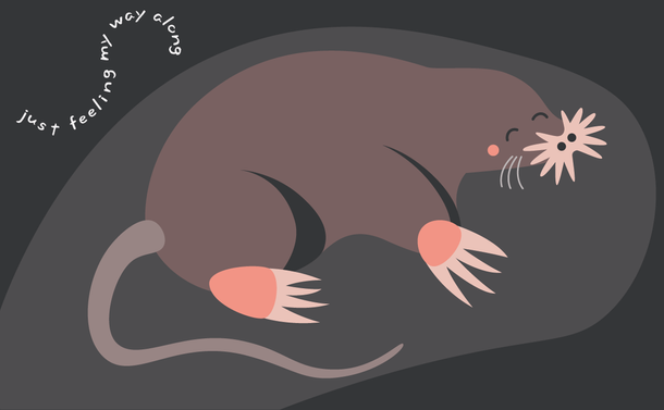 A stylised vector drawing of a cute star nosed mole inside a burrow. Text off to the side reads "just feeling my way along".