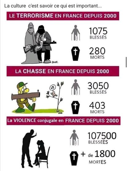 Nombre de mort depuis 25 ans, terrorisme 280, chasse 403, violence conjugale + de 1800