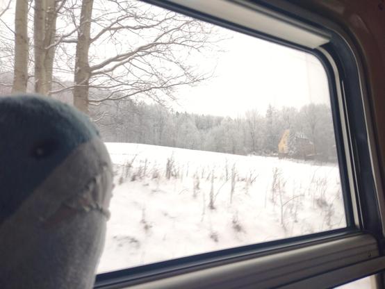 Blåhaj is in the train. There is a window visible. We see a hill with snow. There are trees in the background.