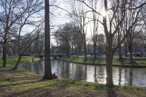 Photo of a small waterway in a city park, with tall trees and sun peeking out behind a tree. Leaning against a tree trunk next to the water, a person in red jacket enjoying the sun.