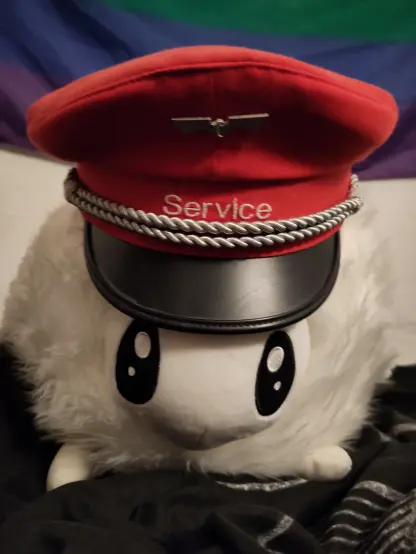 a moth wearing a db service hat