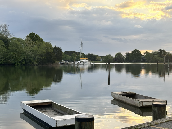 Two skiff s tied up along the creek