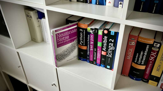 Blick in mein Bücherregel