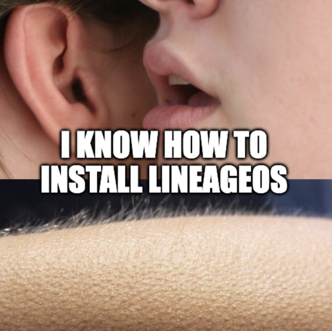 a meme about a person telling in the ear of someone "i know how to install lineageOS" and it triggers goosebumps