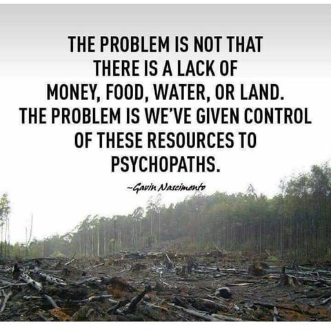 Meme. Photo of a deforested area that is ruined by logging.

Text reads :

THE PROBLEM IS NOT THAT
THERE IS A LACK OF
MONEY, FOOD, WATER, OR LAND.
THE PROBLEM IS WE'VE GIVEN CONTROL
OF THESE RESOURCES TO
PSYCHOPATHS.