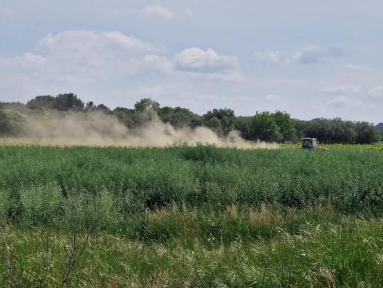Panache de poussière derrière un tracteur cultivant une vigne
