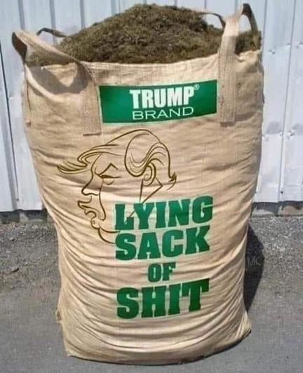 Photo of a very full, open-topped sack teeming with manure. It sports a line drawing of Lord Lardlump's profile, and is labeled:"TRUMP BRAND - LYING SACK OF SHIT."