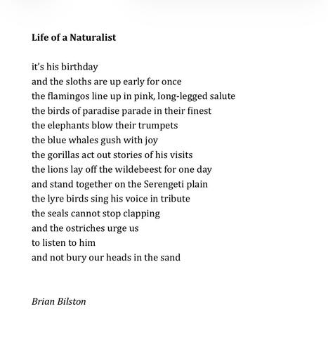 Life of a Naturalist
 
it’s his birthday
and the sloths are up early for once
the flamingos line up in pink, long-legged salute
the birds of paradise parade in their finest
the elephants blow their trumpets
the blue whales gush with joy
the gorillas act out stories of his visits
the lions lay off the wildebeest for one day
and stand together on the Serengeti plain
the lyre birds sing his voice in tribute
the seals cannot stop clapping
and the ostriches urge us
to listen to him
and not bury our heads in the sand
 

Brian Bilston