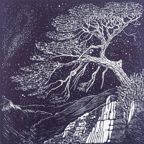 Print of wood engraving in dark blue ink of a gnarly old Scots pine tree on a mountain slope under a starry sky.