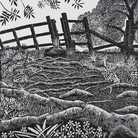 Print of a wood engraving in black ink of a woodland path with tree-root ‘steps’ leading to a stile out of the wood.