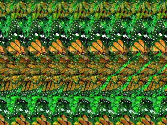 Magic Eye image with butterfly on it.