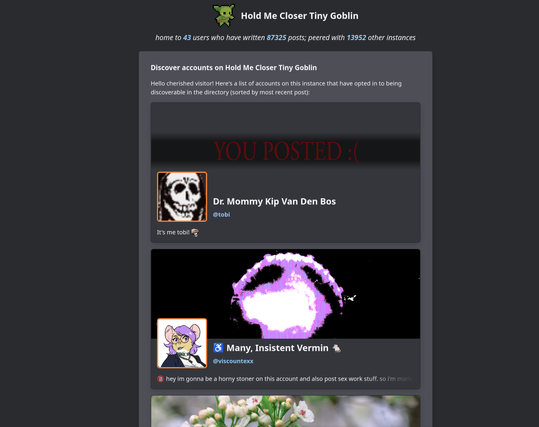 GoToSocial page showing a list of accounts with their avatar, header, and first line of bio.