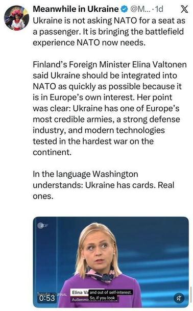 Screenshot of a tweet from @MeanwhileInUkraine arguing that Ukraine brings valuable battlefield experience to NATO, citing Finnish Foreign Minister Elina Valtonen's call for Ukraine's rapid NATO integration. Valtonen is shown speaking on German broadcaster ZDF.