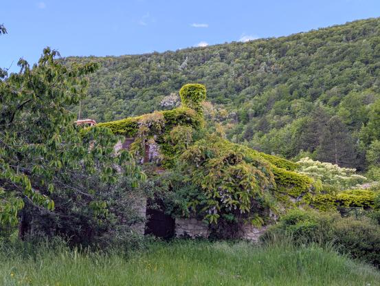 Maison en pierre en ruine dont on entrevoit quelques ouvertures. La végétation a mangé le reste, même la cheminée qui pointe le nez au faîte du toit.

En arrière plan, dans un vert plus sombre, la montagne dromoise.