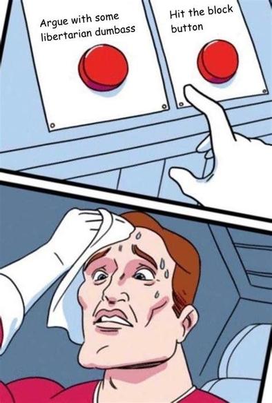 Superhero button meme with options “Argue with some libertarian dumbass” and “Hit the block button”. Superhero is agonizing but it’s not really a difficult decision.
