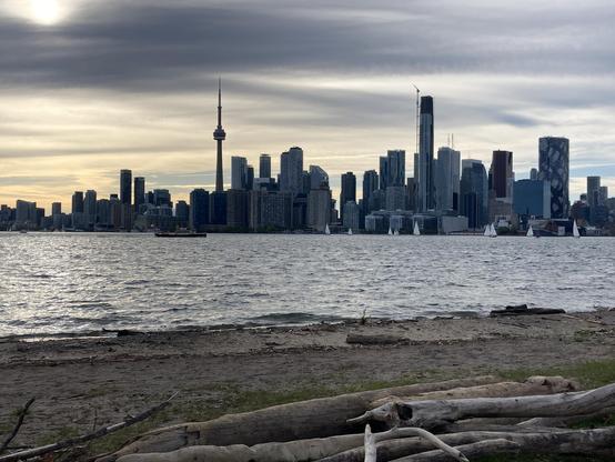 The Toronto skyline from across the water.