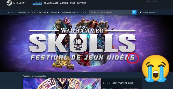 La page d'accueil de Steam, qui annonce un « festival de jeux vidéos », avec un s à vidéo, ce qui est une faute d'orthographe.