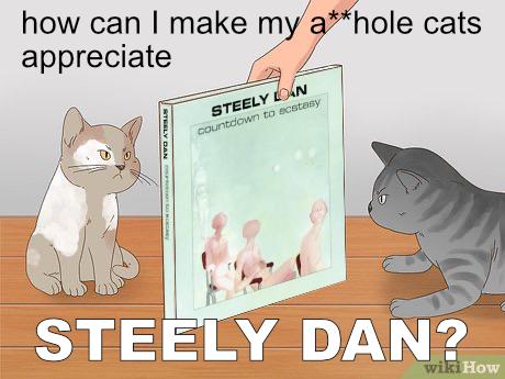 The cats are presented with Steely Dan's 1973 release, Countdown to Ecstacy. They do not like this particular album.