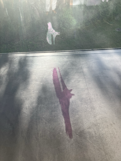 Silhouette of an extinct bird species
