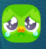 Phone icon Image of duo the owl, with tears in its eyes.