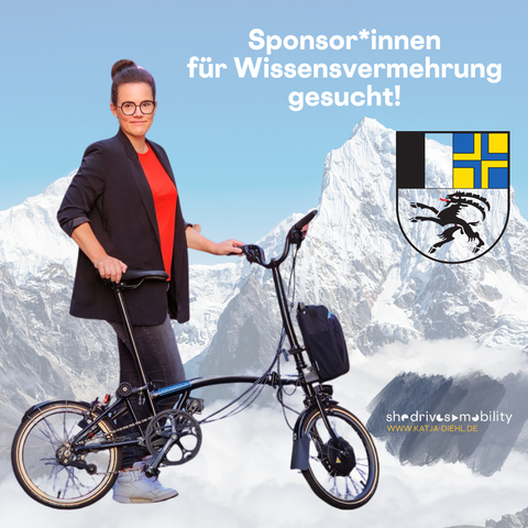 Eine Fotomontage. Eine Person mit dunklem Anzug und rotem Shirt hält ein Faltrad, blickt in die Kamera und steht vor Bergen.