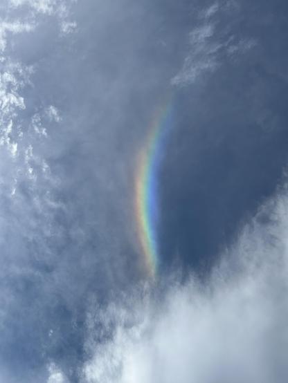 Looking directly overhead at an arc of a ranbow with surrounding white clouds.