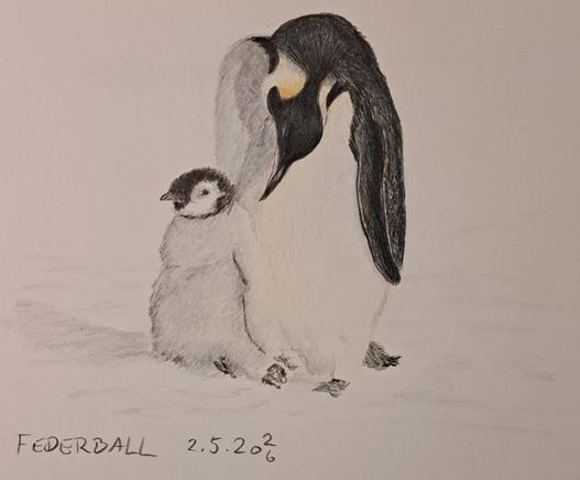 Farbstift-Zeichnung eines erwachsenen und eines jungen Pinguins im Schnee auf weißem Papier