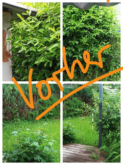 Collage aus vier Fotos eines recht verwilderten kleinen Gartens. Diagonal darüber in Handschrift das Wort "vorher".