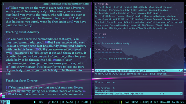Sorry, just a quick dump of synthwave screenshots from linux running Swaywm and foot terminal, some with Xlinks browser and others. Can provide better alt text upon request.
