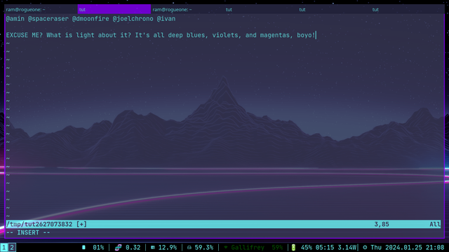 Sorry, just a quick dump of synthwave screenshots from linux running Swaywm and foot terminal, some with Xlinks browser and others. Can provide better alt text upon request.