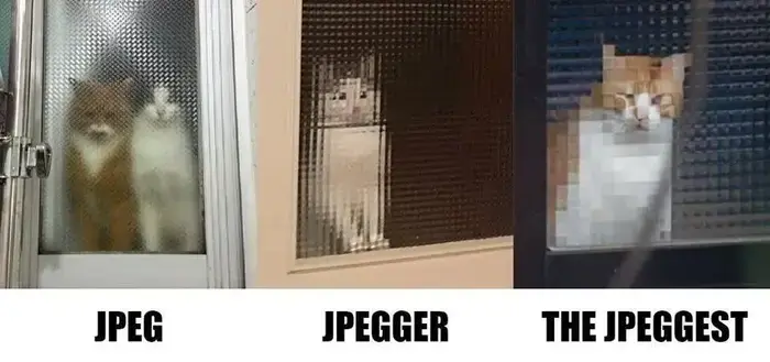 Three panes of pixelated glass window gradients where cats are visible