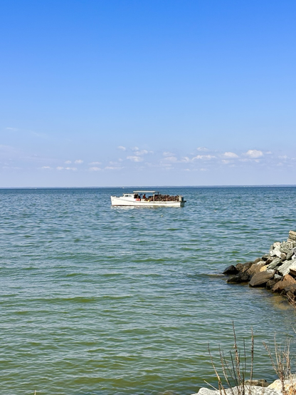 Workboat on the Chesapeake bay.