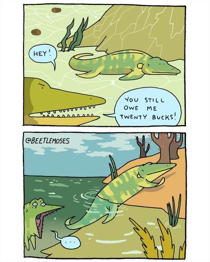 Two panel comic. Panel 1: two Tiktaaliks (an extinct, 375-million-year-old fish that was the evolutionary link between fish and the first four-legged land animals) sit at the floor of a shallow sea bed. One of them angrily says to the other, “hey! You still owe me 20 bucks!” Panel 2: the other Tiktaalik, to avoid paying $20, emerges from the water and steps onto land for the first time in history. The first tiktaalik is absolutely stupefied.